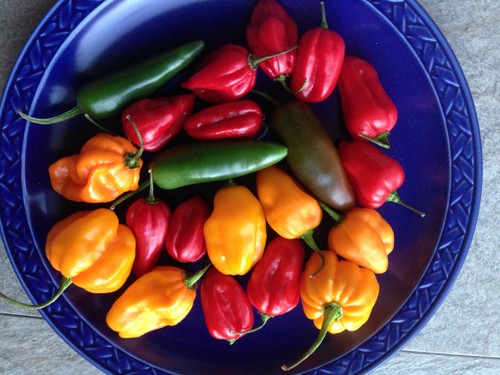 Chili mix 30 - 6,